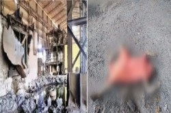 रायगढ़ में बड़ा हादसा! फर्नेस ब्लास्ट होने से दो की हुई मौत, आखिर कौन जिम्मेदार?
जानें… - image