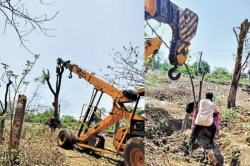 CG News: भिलाई-दुर्ग के मध्य चौथी रेललाइन का काम शुरू, पहले दिन 5 पेड़ किए गए
शिफ्ट - image