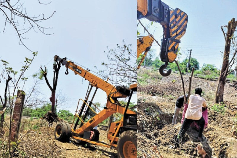 CG News: भिलाई-दुर्ग के मद्य चौथी रेललाइन का काम शुरू, पहले दिन 5 पेड़ किए गए शिफ्ट