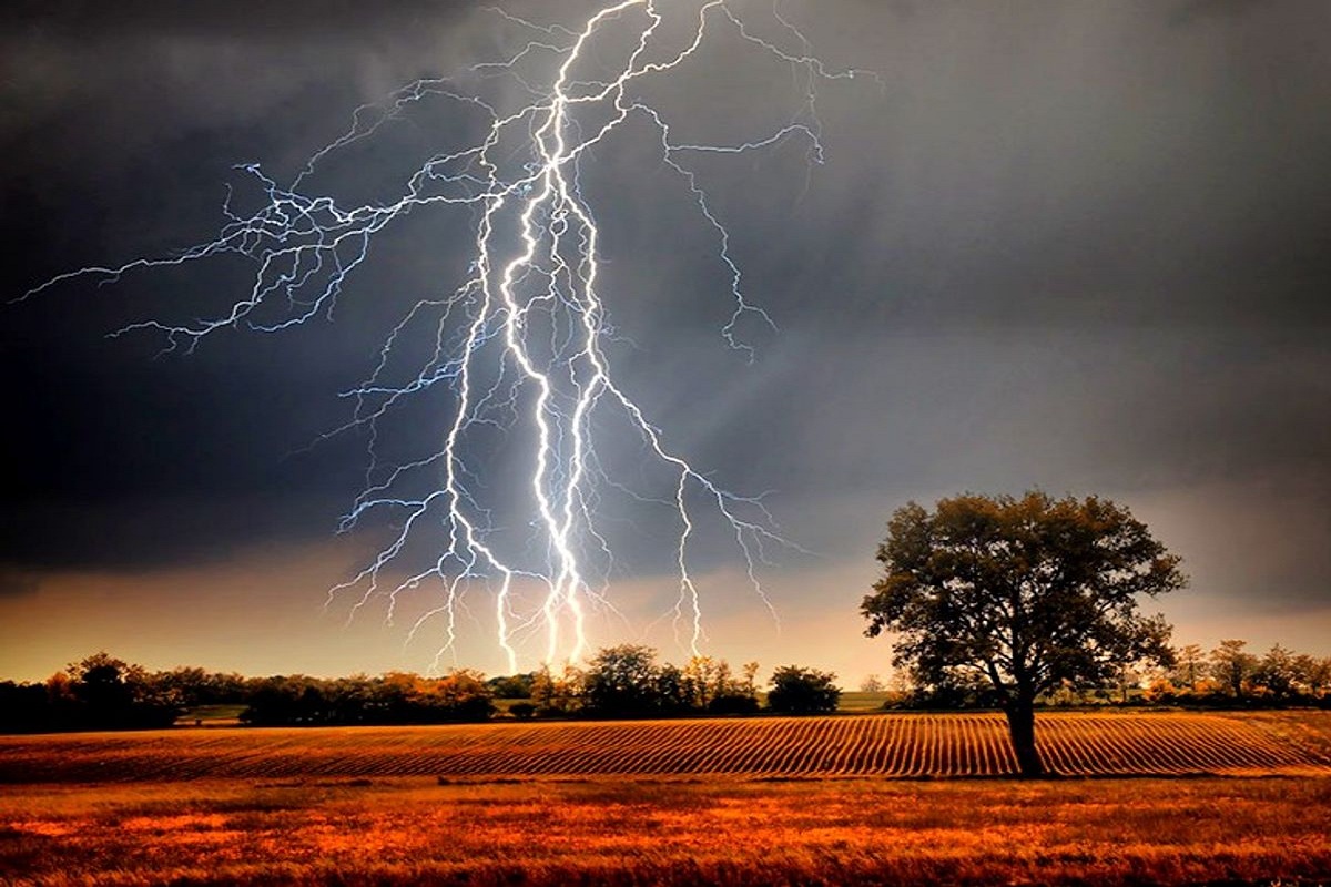 CG Sky lightning: आकाशीय बिजली से झुलसा युवक, घर में रखे कोदोदाना से बचाई जान