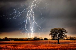 CG Sky lightning: आकाशीय बिजली से झुलसा युवक, घर में रखे कोदोदाना से बचाई जान - image