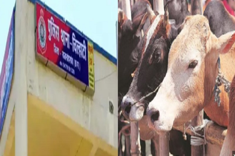 CG News: कारगिल युद्ध लड़े फौजी के परिवार पर पुलिसिया कहर, मवेशी तस्करी का लगाया आरोप