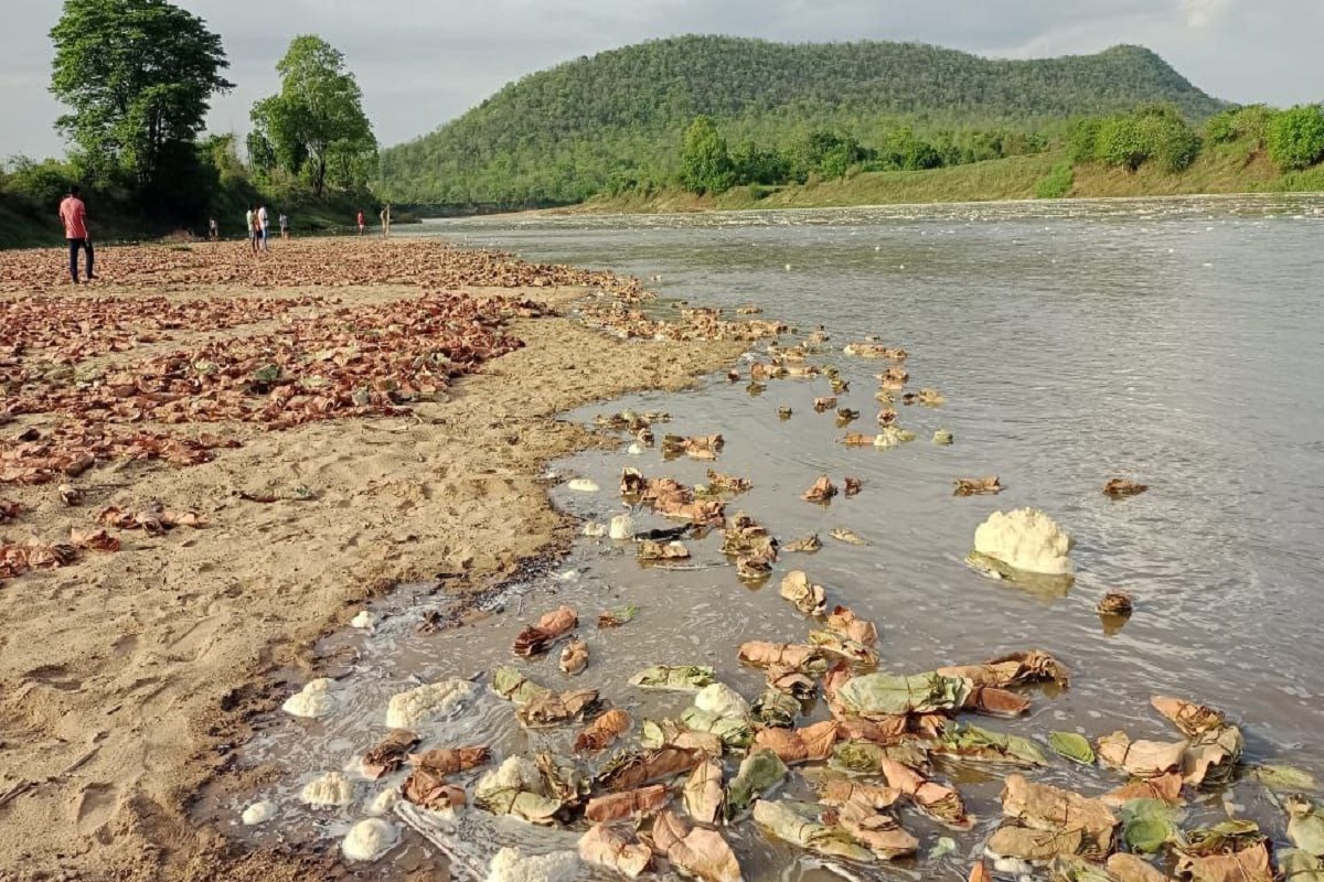 CG News: दो दिनों से रुक-रुककर बारिश, नदी किनारे सूख रहे तेंदूपत्ता के लाखों
बंडल बह गए