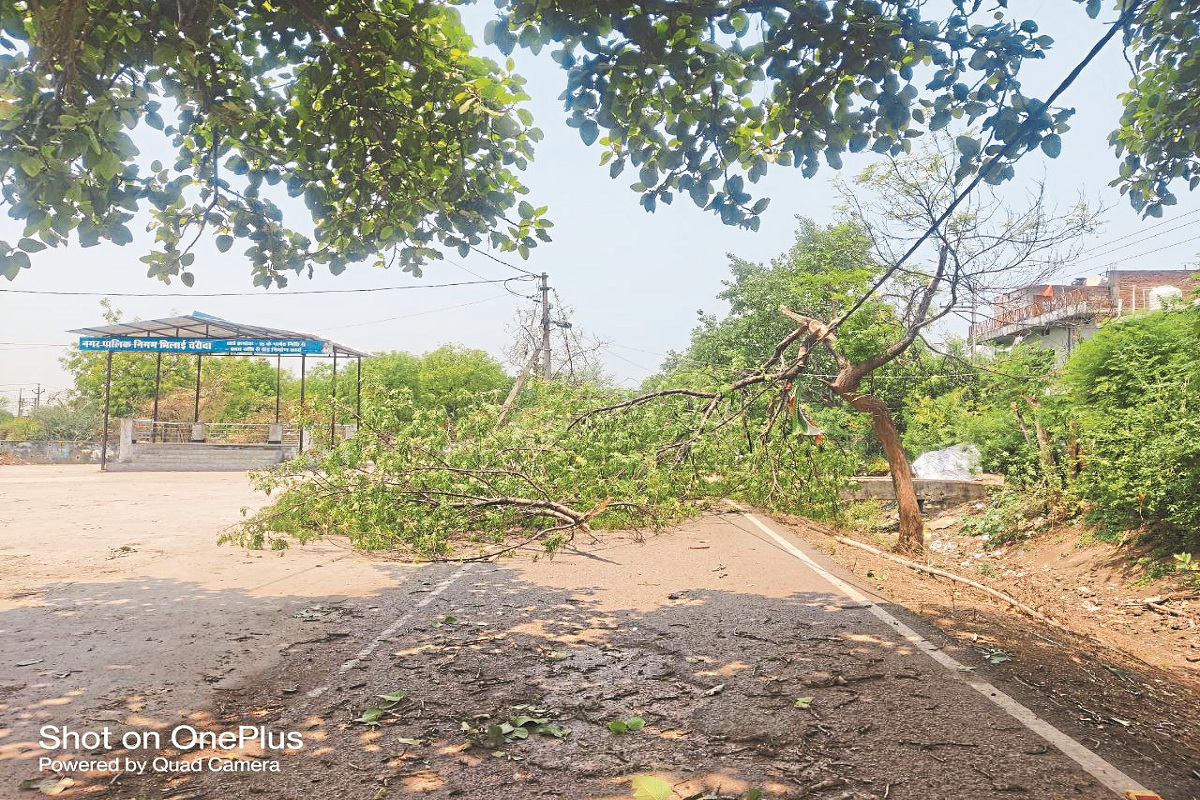 CG News: 28 घंटे बाद बहाल हुई बिजली, 200 पेड़से अधिक पेड़ गिरे, रात भर लोग हुए
परेशान