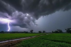 CG Weather: एक-दो स्थानों पर होगी हल्की बारिश, वज्रपात की भी है संभावना - image