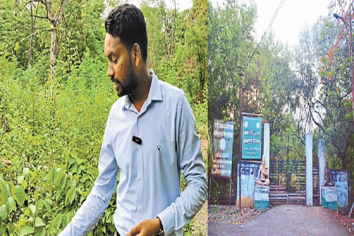 CG News: रायपुर का ऐसा हर्बल गार्डन, जहां पेड के नीचे बैठते ही नशा हो जाता है फुर्र