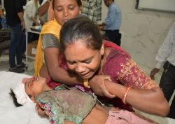 Chittorgarh News: आंधी चलने से कच्ची दीवार गिरी, महिला व बच्चे की मौत, गांव में
मचा कोहराम - image
