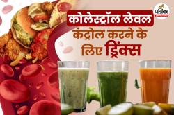 Drinks Good For Cholesterol: कोलेस्ट्रॉल कंट्रोल करने के लिए रोजाना पिएं ये 5
हेल्दी ड्रिंक्स, तेजी से दिख सकता है असर - image