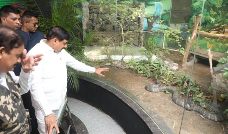 CM Mohan Yadav kept waving his hand in front of the most poisonous king cobra