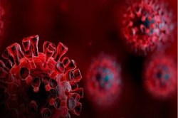 Corona Virus: राजस्थान के 4 मरीजों में कोरोना के नए वैरिएंट की पुष्टि, जानिए
कितना घातक है यह वायरस - image
