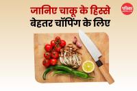 Parts of a kitchen knife