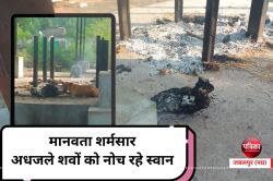 मानवता शर्मसार : अधजले शवों को नोच रहे स्वान, अंतिम सफर भी दुखदाई - image
