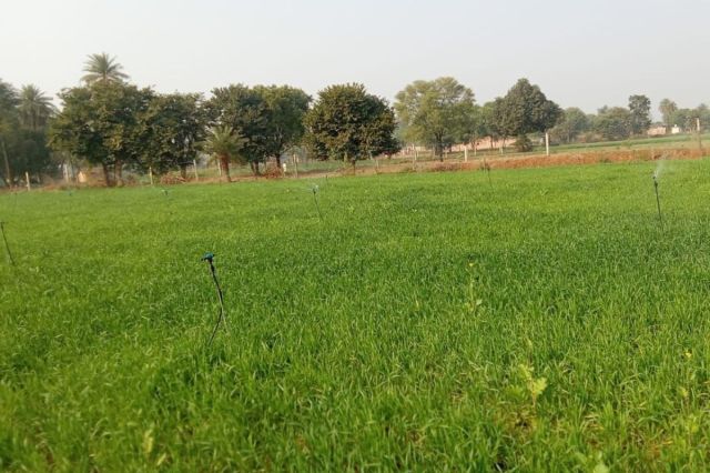 farm-ponds