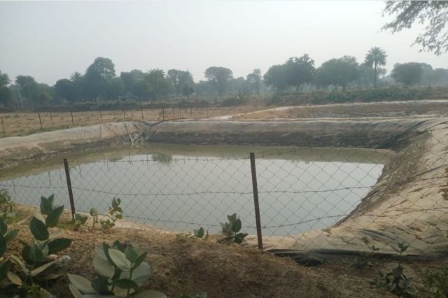farm-ponds