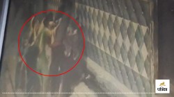 उधारी के पैसे मांगने पर दो पक्षों में जमकर मारपीट, महिलाएं भी हुईं शामिल, चले
लात-घूंसे - image