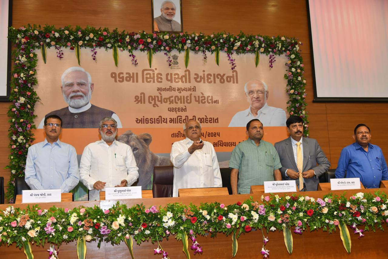 गिर की शान एशियाई शेरों की दहाड़ और ज्यादा गूंजेगी, अब गुजरात में 891 शेर