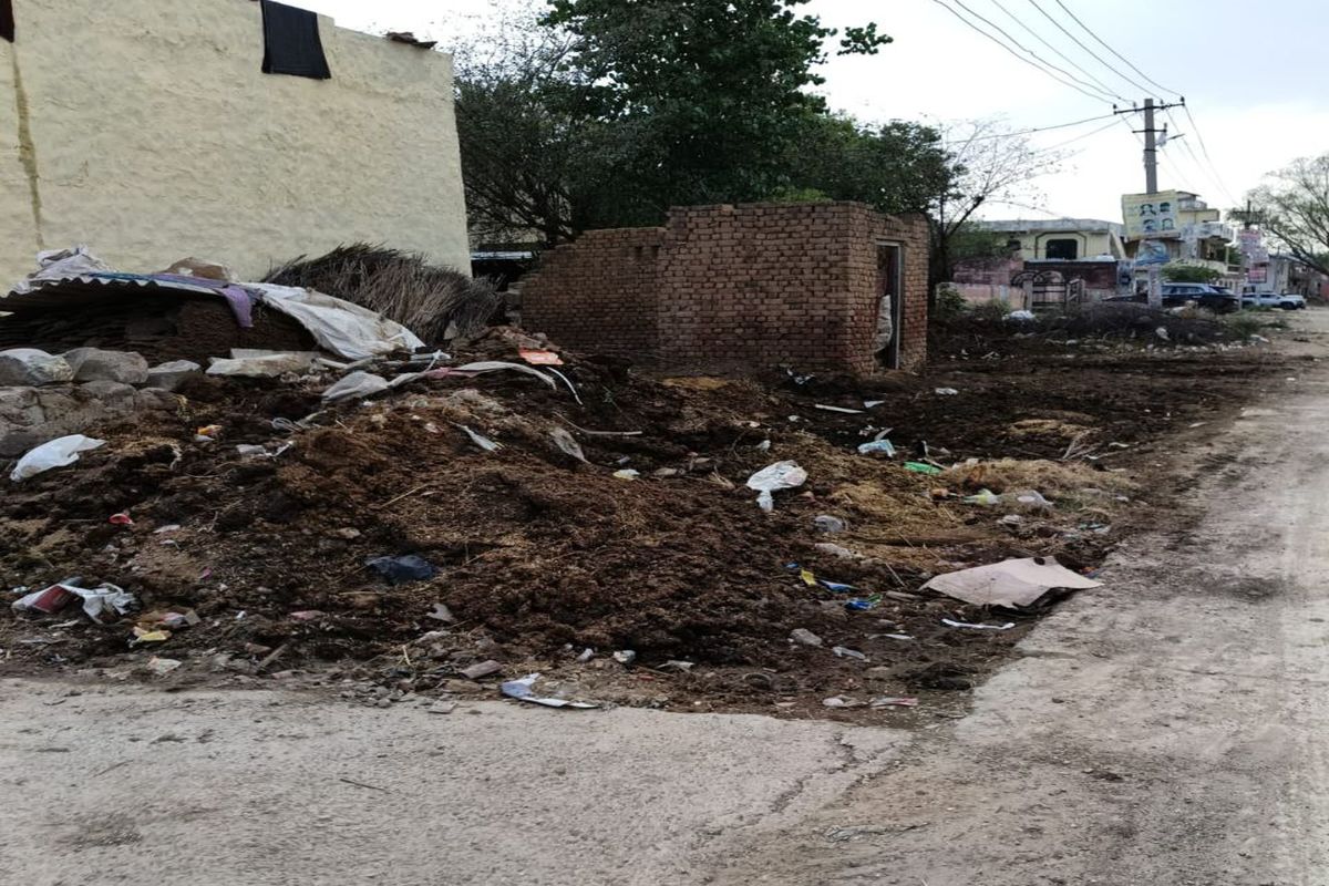 अलवर शहर को डेयरियों से कैसे लग रहा दाग