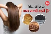 Organic seeds for hair growth