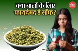 Fennel Seeds Benefits For Hair: सौंफ के दाने से रुक सकता है बालों का झड़ने और
डैंड्रफ, जानिए कैसे करें उपयोग - image