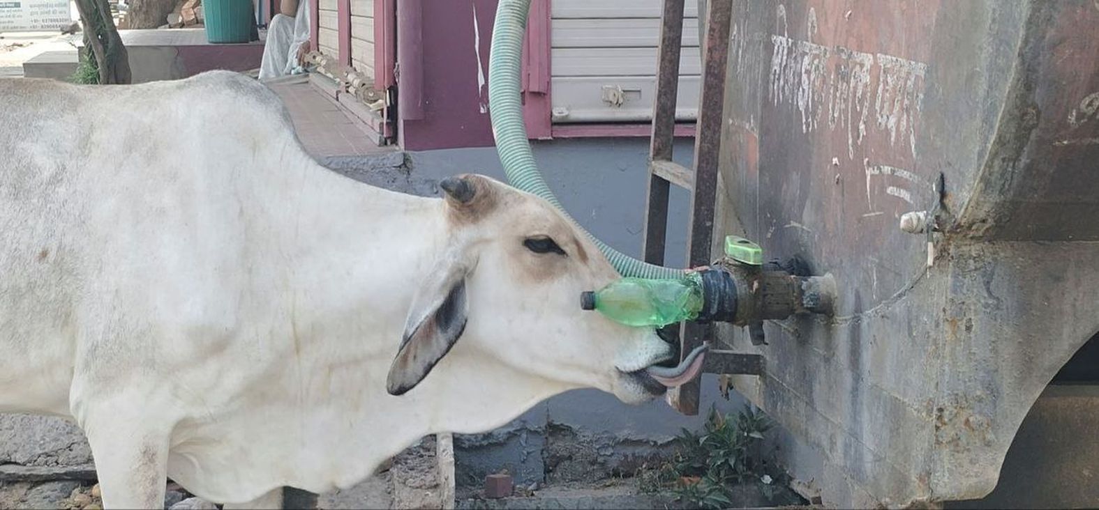 बूंद-बूंद से गला तर करने का जतन