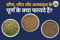 Cumin fennel carom seeds powder at night फोटो सोर्स – Freepik