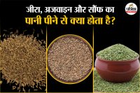 Cumin Fennel Celery Herbal Water Benefits फोटो सोर्स – Freepik