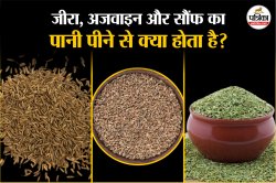 Jeera Saunf Ajwain Water: रोज सुबह खाली पेट जीरा, सौंफ और अजवाइन पानी पीने के 5
बड़े फायदे - image