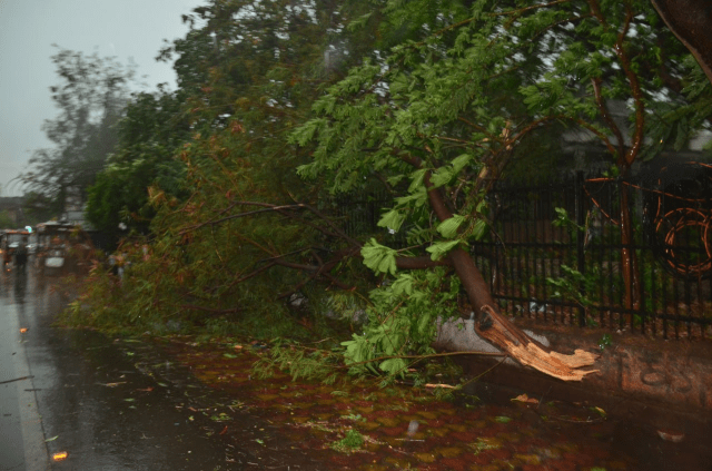 CG Weather: रायपुर में आंधी-तूफान से दिखा कुदरती कहर, तीन शेड गिरने से गाड़ियां दबी, इधर टोल नाका भी गिरा