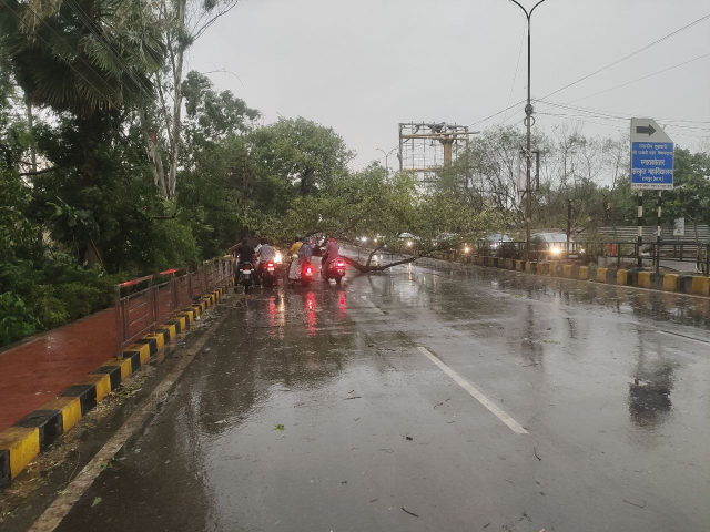 CG Weather: रायपुर में आंधी-तूफान से दिखा कुदरती कहर, तीन शेड गिरने से गाड़ियां दबी, इधर टोल नाका भी गिरा