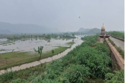 जयसमंद बांध के पास नहीं बन सकेगा मनोरंजन हब, यहां ईआरसीपी की पाइप लाइन आएगी - image