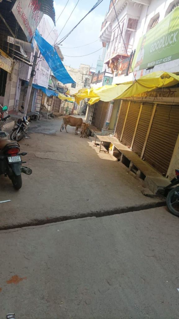 कोटा में चाकू मारकर युवक की हत्या