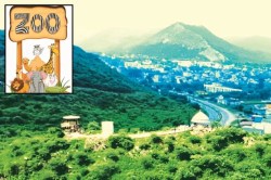 चिड़ियाघर बनाने के लिए टेंडर खुला, वर्क ऑर्डर इसी माह होगा जारी - image