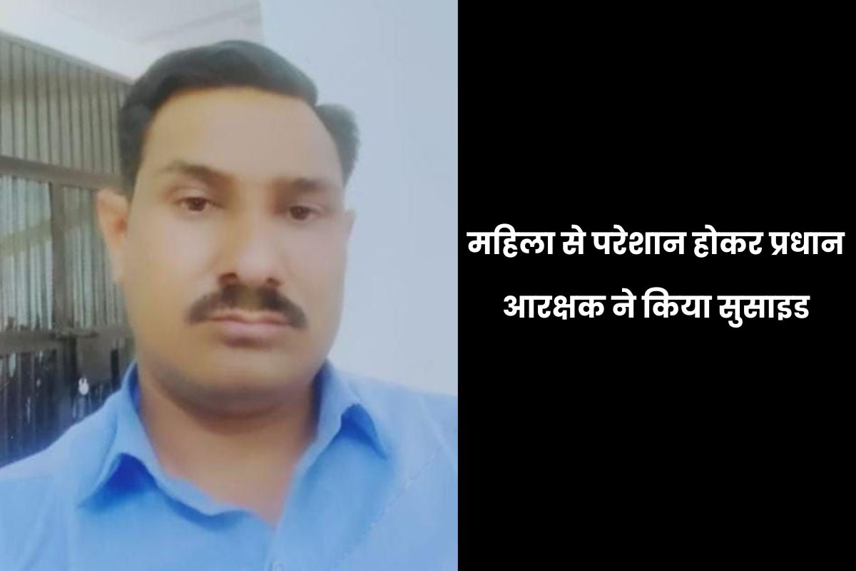 mp news