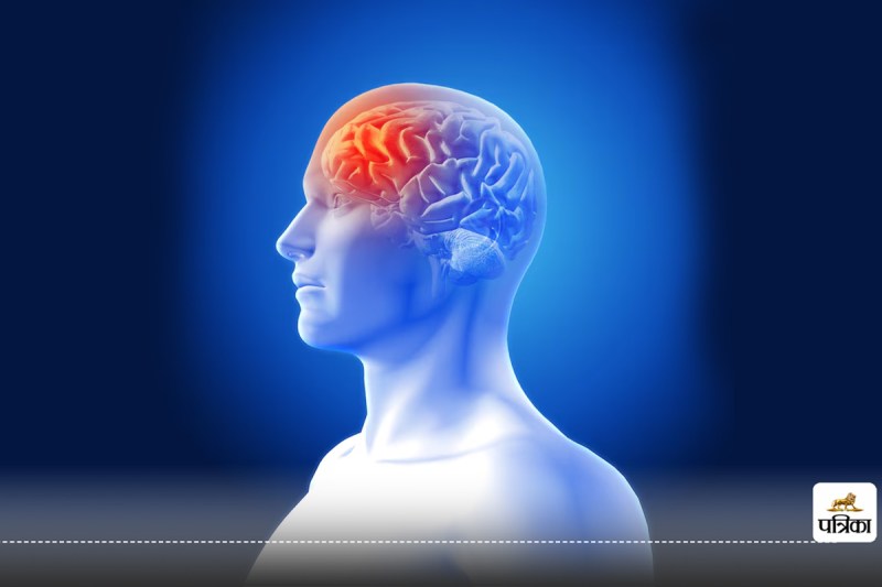 The world most powerful MRI machine took the first picture of the human brain : Photo Credits -freepik