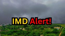 IMD Monsoon Update: जून के आखिरी हफ्ते में दस्तक देता है राजस्थान में मानसून, इस
बार का जानें हाल, देखें पिछले 6 साल का ट्रेंड - image
