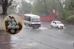 Jaipur Weather News: जयपुर में IMD का रेड अलर्ट… राजस्थान में पश्चिमी विक्षोभ
सक्रिय, इन जिलों में होगी बारिश! - image