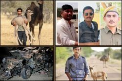 केंद्रीय मंत्री ने जताया शोक, पूर्व सीएम ने शेयर की फोटो, जैसलमेर के चार वन्यजीव
प्रेमियों की दर्दनाक मौत से मची सनसनी, शोक में बाजार बंद - image