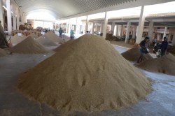 Jeera Mandi Bhav: राजस्थान की मंडी में इतना महंगा हो गया जीरा, सोना-चांदी हुआ
सस्ता, जानिए कीमत - image