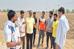 सीजफायर के सन्नाटे में भी सरहदें सजग, हथियार रुके हैं…हौसले नहीं - image