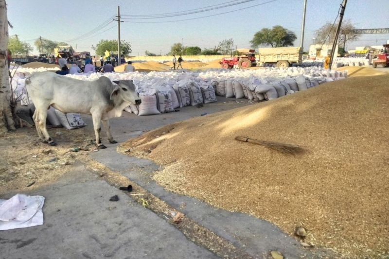 क्षतिग्रस्त सुरक्षा दीवार की नहीं हुई मरम्मत