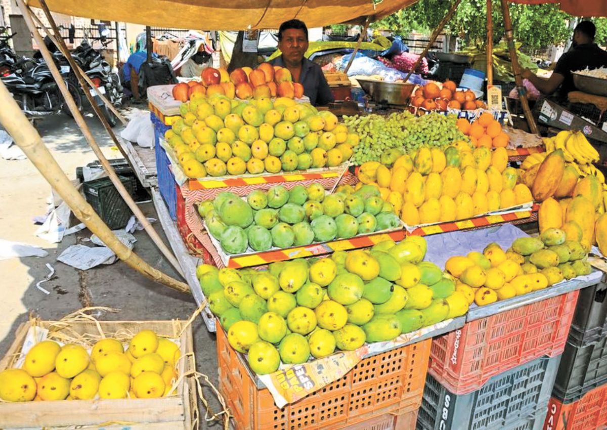 राजस्थान के इस शहर में लोग रोजाना खा रहे 10,000 किलो आम, बादाम आम की अधिक मांग