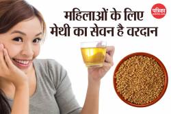 Methi Seeds Benefits: पीरियड्स की तकलीफ से लेकर मेनोपॉज तक, महिलाओं की हर समस्या
का इलाज हो सकता है मेथी दाना - image