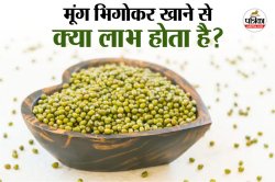 Soaked Moong Benefits: रातभर भीगे हुए मूंग को रोजाना सुबह खाने से शरीर को मिल
सकते हैं ये 5 बड़े फायदे - image