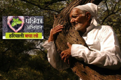 18 मई को होगा चिपको आंदोलन, अटकी है 8000 पेड़ों की सांसें - image