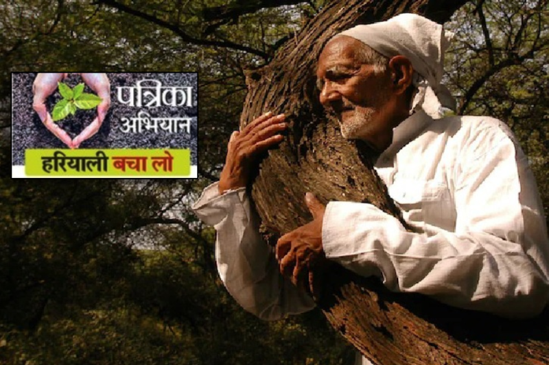 Chipko movement in bhopal