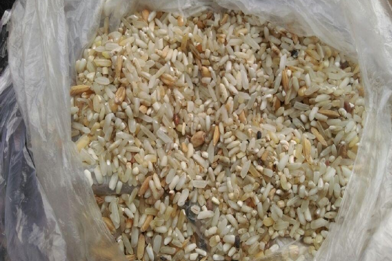 Shameful incident in mp