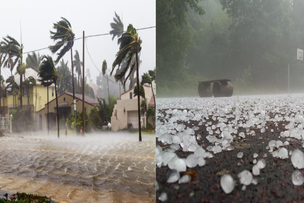 Weather Alert: आंधी-तूफान के साथ छत्तीसगढ़ के कई जिलों में झमाझम बारिश और
ओलावृष्टि, गिरे पेड़, बिजली बंद