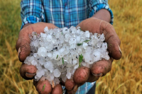 Heavy rain and hailstorm alert in mp