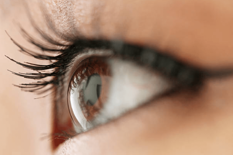 n name rashi in hindi N Letter Name Boy girl characteristics