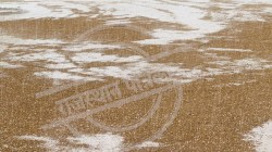 Rajasthan Weather Update: राजस्थान में तेज बारिश के साथ हुई ओलावृ ष्टि, जानें अब
कैसा रहेगा मौसम - image